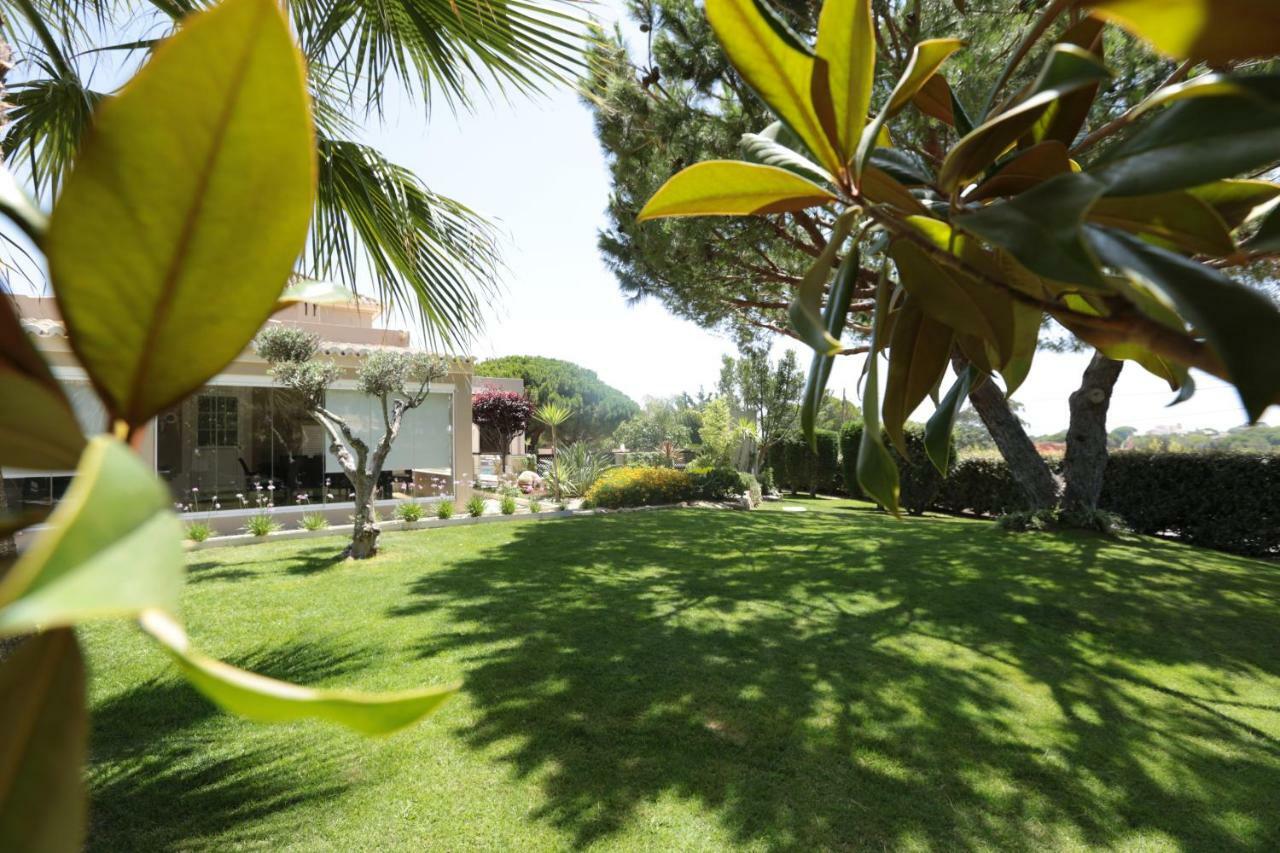 Quinta Do Pinheiro Manso - Holidays Villa - Marinha Beach Carvoeiro  Ngoại thất bức ảnh