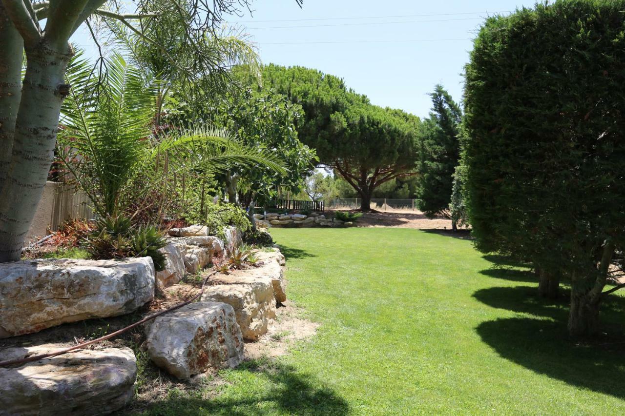 Quinta Do Pinheiro Manso - Holidays Villa - Marinha Beach Carvoeiro  Ngoại thất bức ảnh