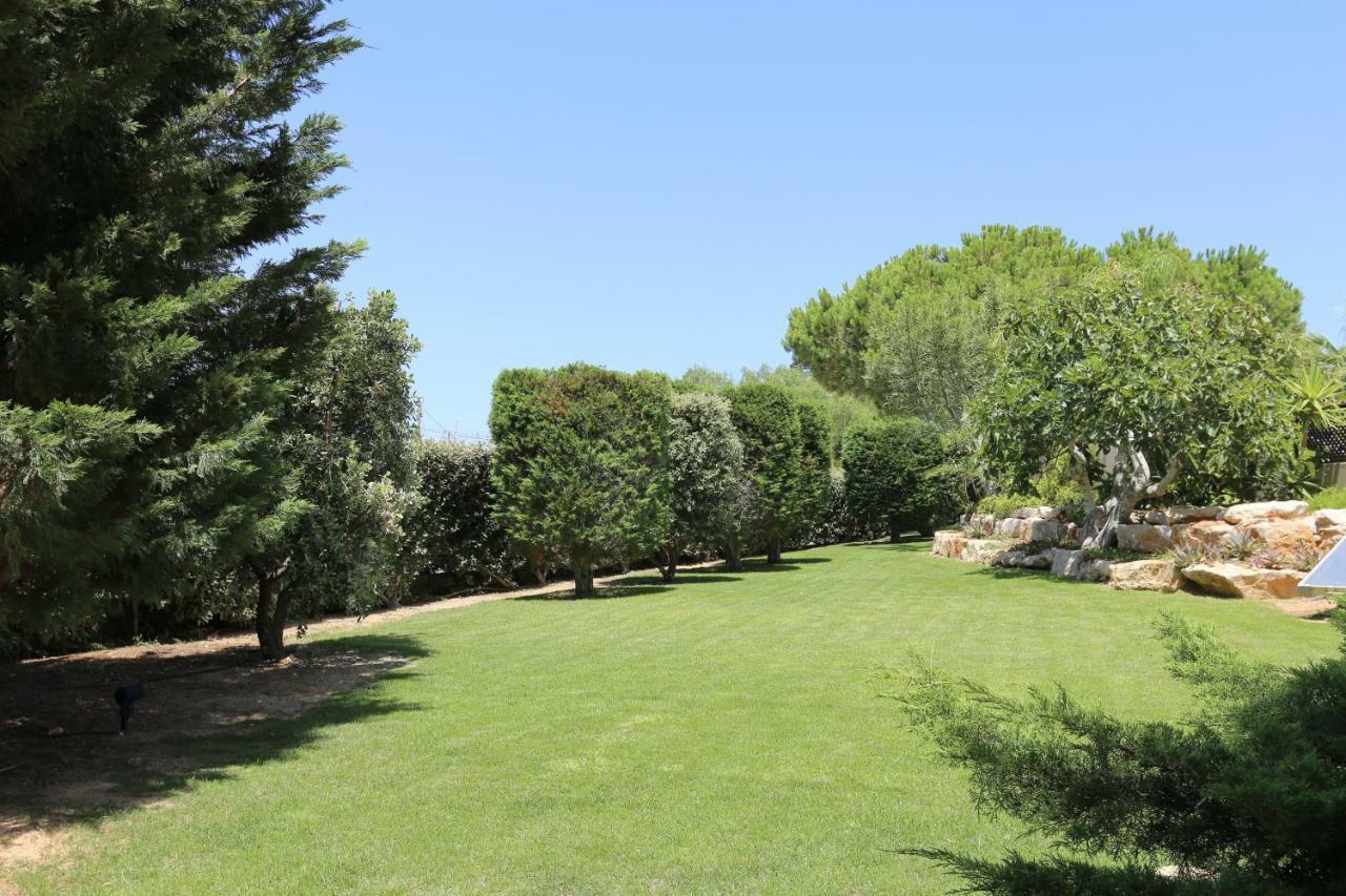 Quinta Do Pinheiro Manso - Holidays Villa - Marinha Beach Carvoeiro  Ngoại thất bức ảnh