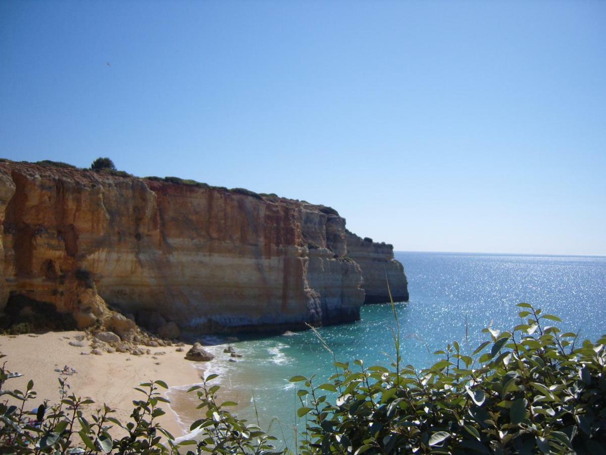 Quinta Do Pinheiro Manso - Holidays Villa - Marinha Beach Carvoeiro  Ngoại thất bức ảnh