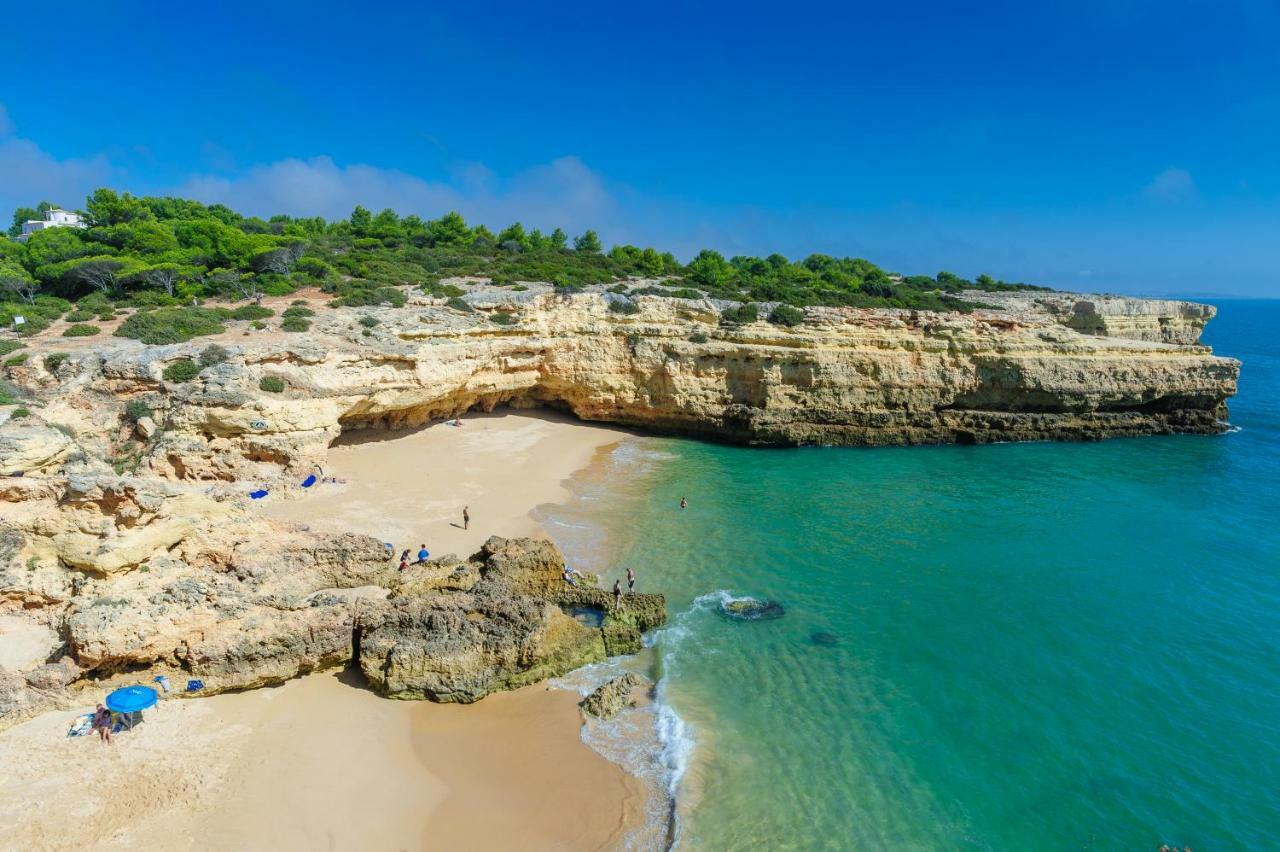 Quinta Do Pinheiro Manso - Holidays Villa - Marinha Beach Carvoeiro  Ngoại thất bức ảnh